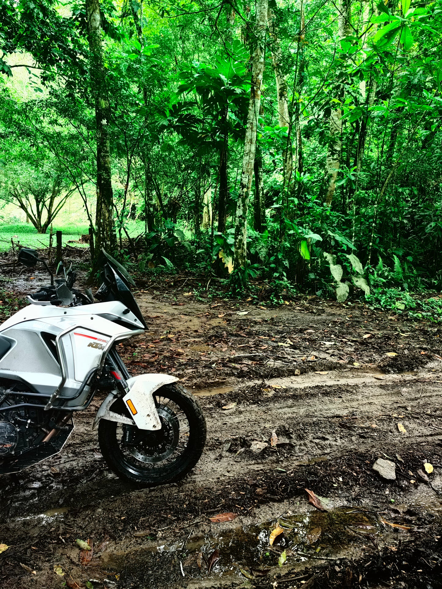 Reserva Los Monos | 07 de Junio