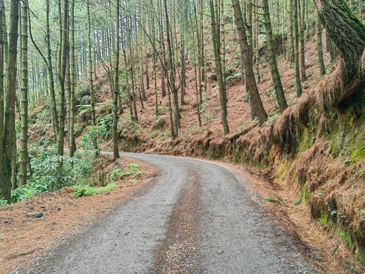 Retiro Off | 31 de Enero