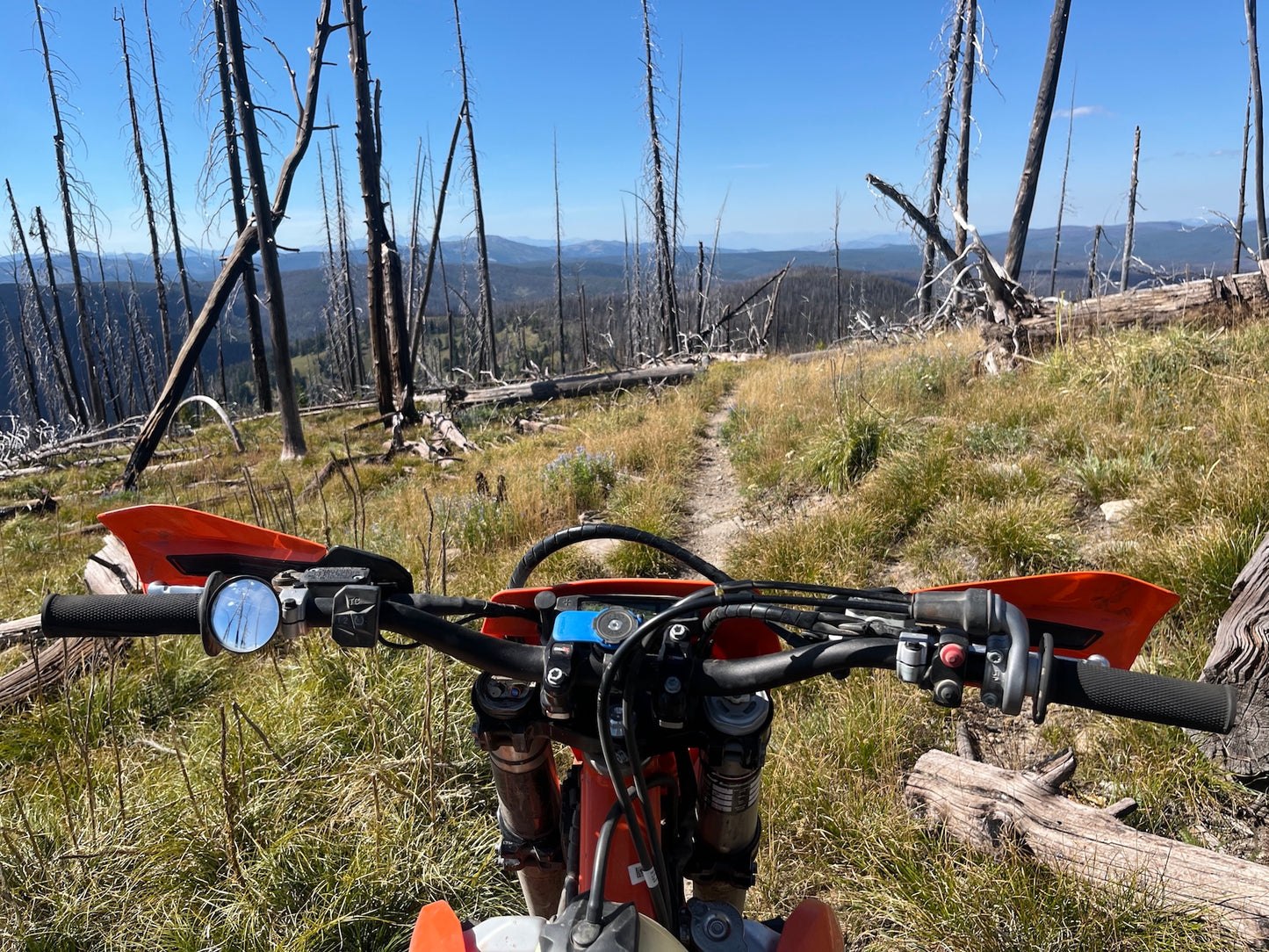 Doubletake Trail 50mm